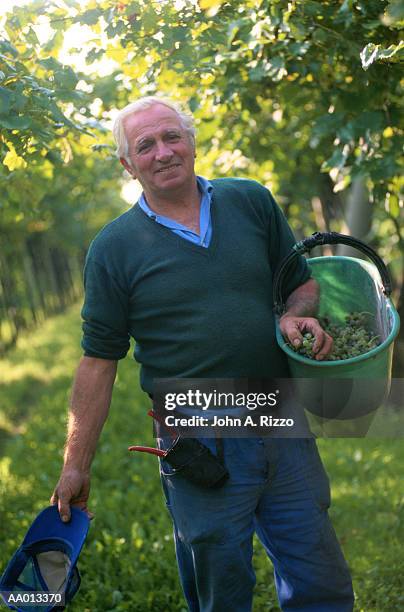 field worker in soave, italy - soave stock pictures, royalty-free photos & images