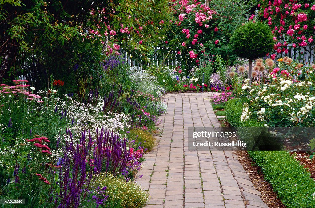 Path Through a Garden