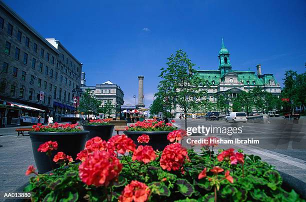 flowers along place jacques cartier - jacques stock pictures, royalty-free photos & images