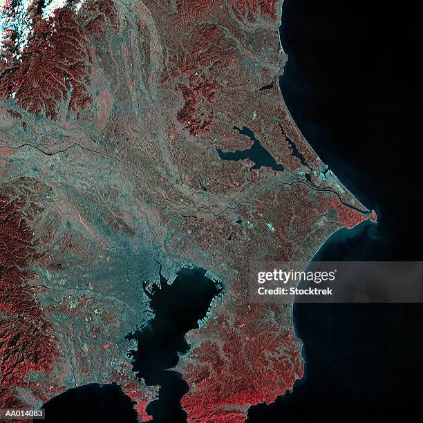 satellite image of tokyo and the pacific ocean - kanto region foto e immagini stock