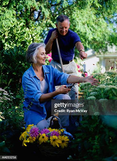 couple gardening - growing signs of resictence and protest are found in liberal neighborhood in northwest philadelpha pa stockfoto's en -beelden