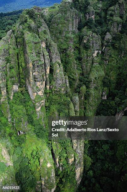 mexico, tepoztlan park, vegetation growing on rocky cliff - tepoztlan stock pictures, royalty-free photos & images