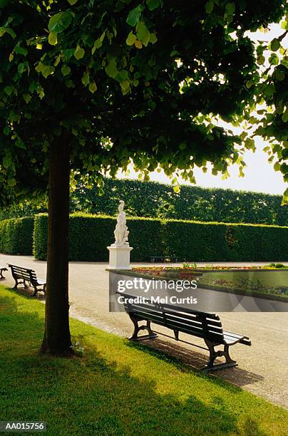 park bench below a tree in a hannover park - prince ernst august presents royal crown of hanover stockfoto's en -beelden