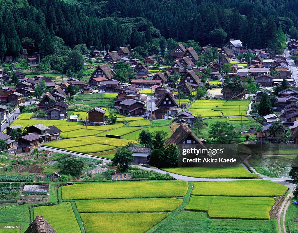 Shirakawa Village in Autumn