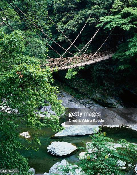 japan, tokushima prefecture, nishiiya village, kazura bridge - tokushima prefecture stock pictures, royalty-free photos & images