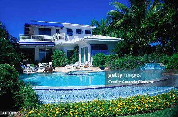 house and swimming pool in florida - pampered pets stock pictures, royalty-free photos & images