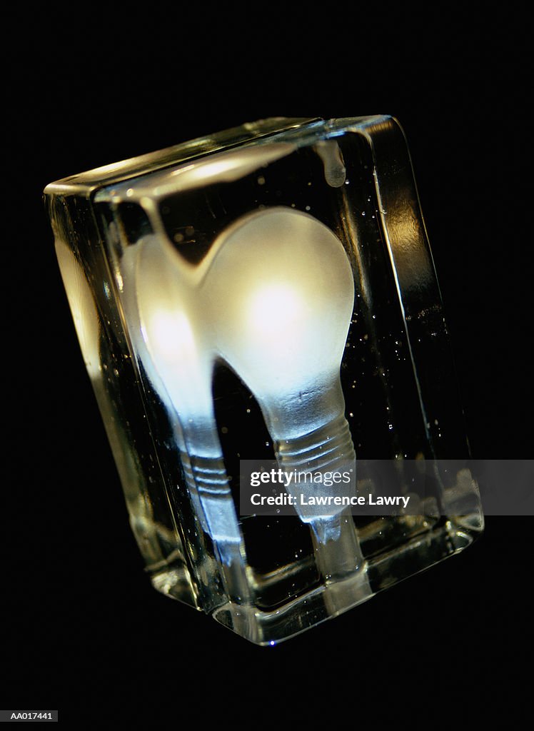 Light Bulb Encased in Glass