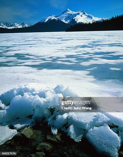 maligne lake in jasper national park - lago maligne foto e immagini stock