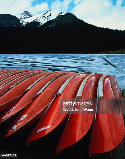 canoes in a row at lake louise - lake louise 個照片及圖片檔