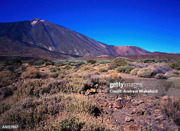 peak of tenerife - atlantic islands stock pictures, royalty-free photos & images