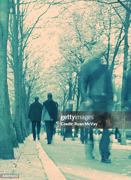 people walking on a tree lined sidewalk - the blue man group in vancouver stock pictures, royalty-free photos & images