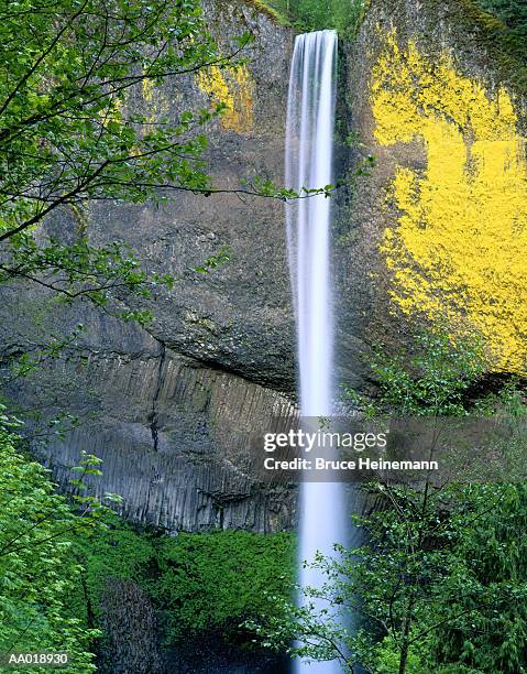 waterfall in the columbia river gorge - columbia gorge - fotografias e filmes do acervo