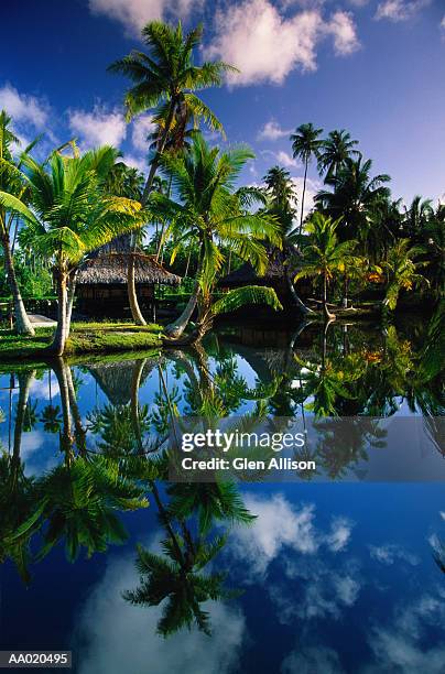 huts and lagoon, huahine island, french polynesia - huahine photos et images de collection