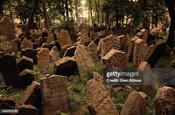 jewish cemetery in prague - cemetery stock-fotos und bilder