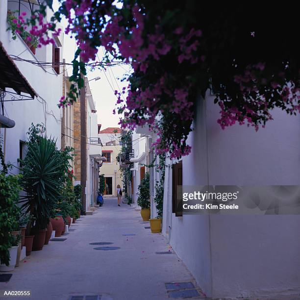 bougainvillea on a wall along a narrow street - steele streets stock pictures, royalty-free photos & images