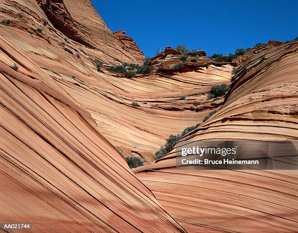 eroded sandstone, paria wilderness, utah, usa - paria canyon foto e immagini stock