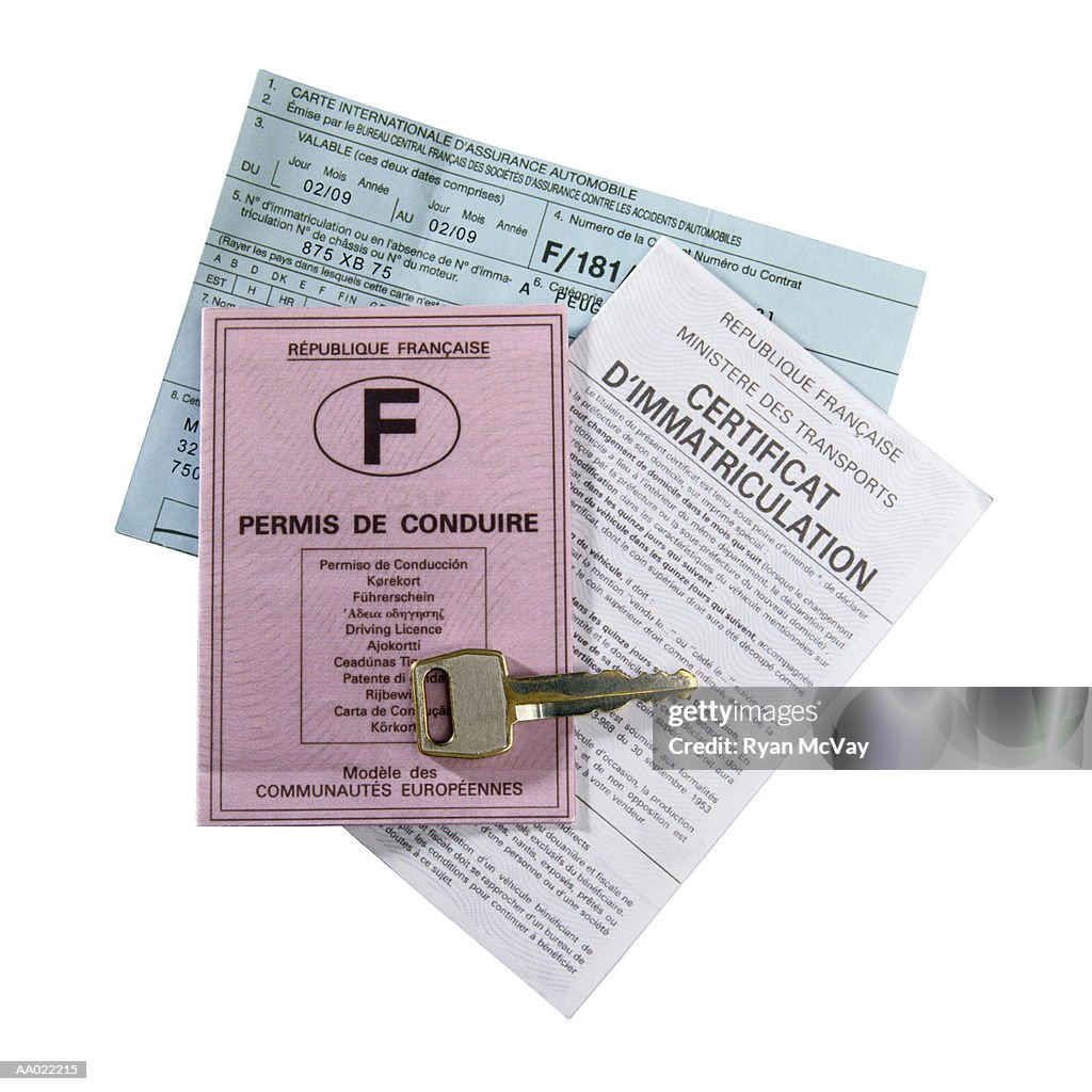 French Driving License and Insurance Papers