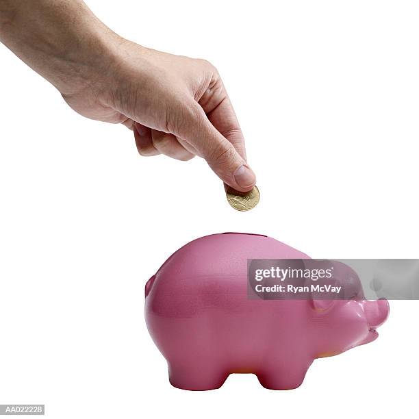 man's hand dropping coin into a piggy bank - saving up for a rainy day stock pictures, royalty-free photos & images