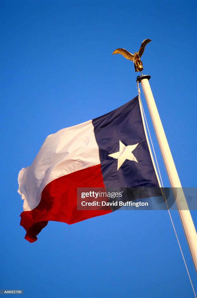 Texas State Flag