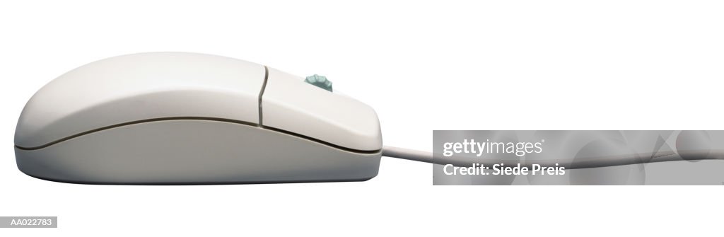Side View of a Computer Mouse