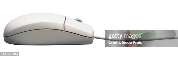 140 Computer Mouse And Side View Stock Photos, High-Res Pictures, and ...
