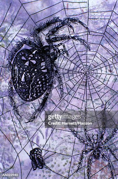 monoprint of spiders on a web - ugly spiders stock illustrations