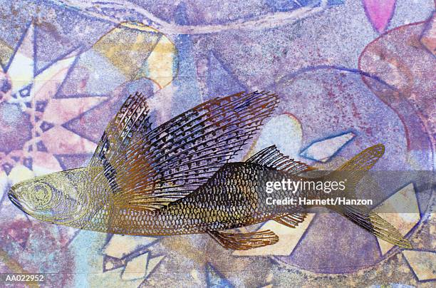 Flying Fish Abstract 100 Flying Fish High Res Illustrations - Getty Images
