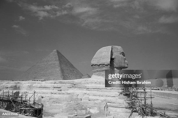 the sphinx with scaffolding and great pyramid - sphinx egypt scaffold stock pictures, royalty-free photos & images