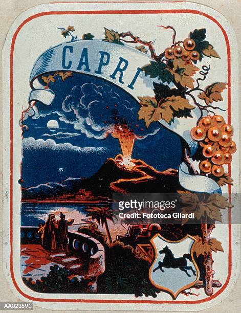 advertisement for wine with mt. vesuvius erupting - 1865 stock-grafiken, -clipart, -cartoons und -symbole