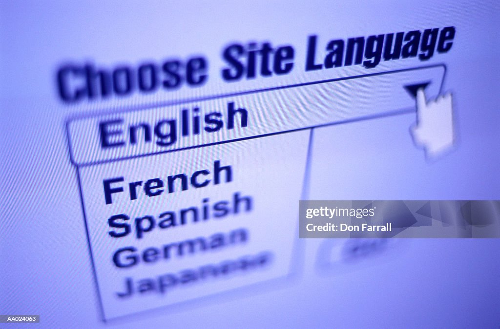 Language Choices on a World Wide Web Site