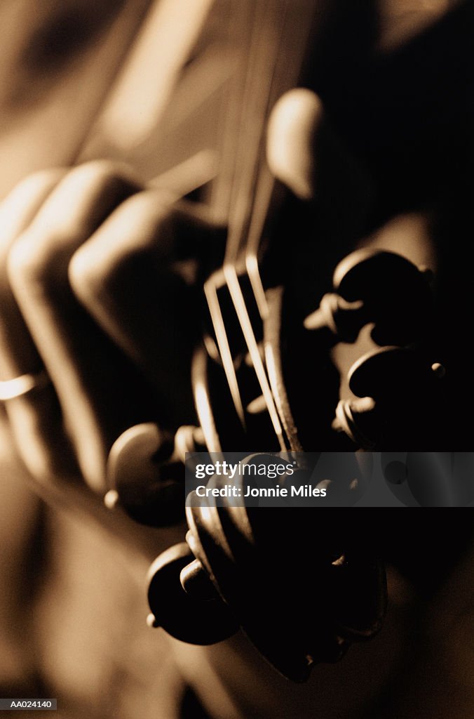 Close-Up of a Violin Scroll