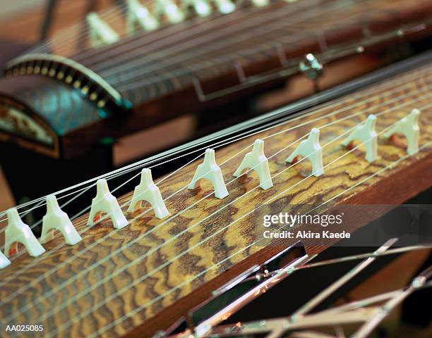 close-up of a koto - koto harp bildbanksfoton och bilder