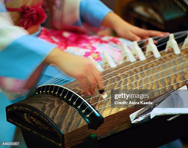 close-up of woman playing a koto - koto harp bildbanksfoton och bilder