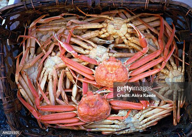 crabs in a basket - fukui prefecture stock pictures, royalty-free photos & images