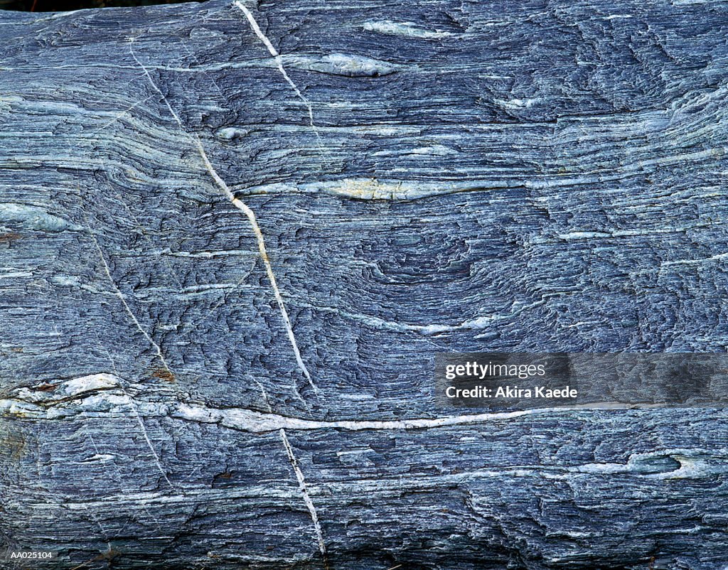 Pattern on a Rock