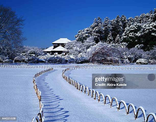 japan, ibaraki prefecture, mito, kairakuen garden, winter - mito stock-fotos und bilder