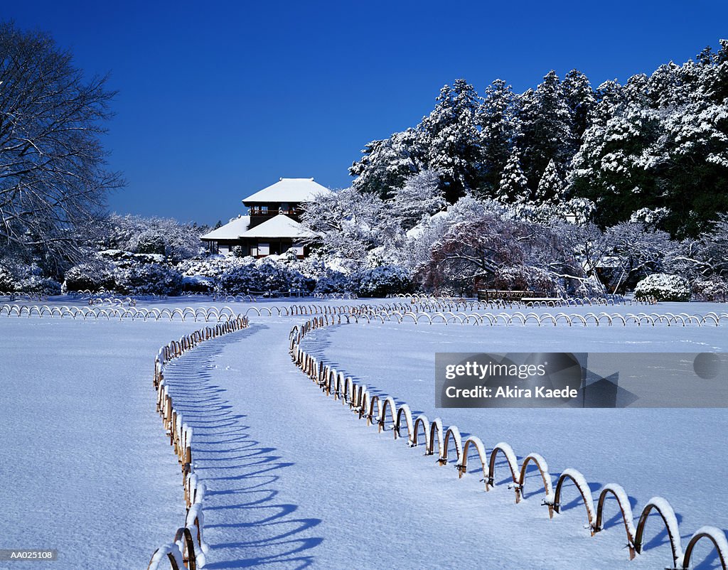 Japan, Ibaraki Prefecture, Mito, Kairakuen Garden, winter