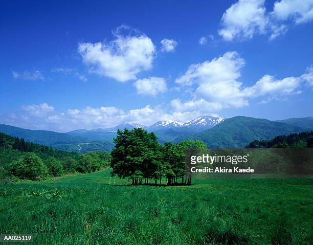 japan, yamagata prefecture, green hills and mount gassan in background - yamagata prefecture foto e immagini stock