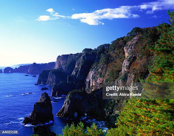 japan, iwate prefecture, rikuchu kaigan nat. park, kitayamazaki cliffs - nat 個照片及圖片檔