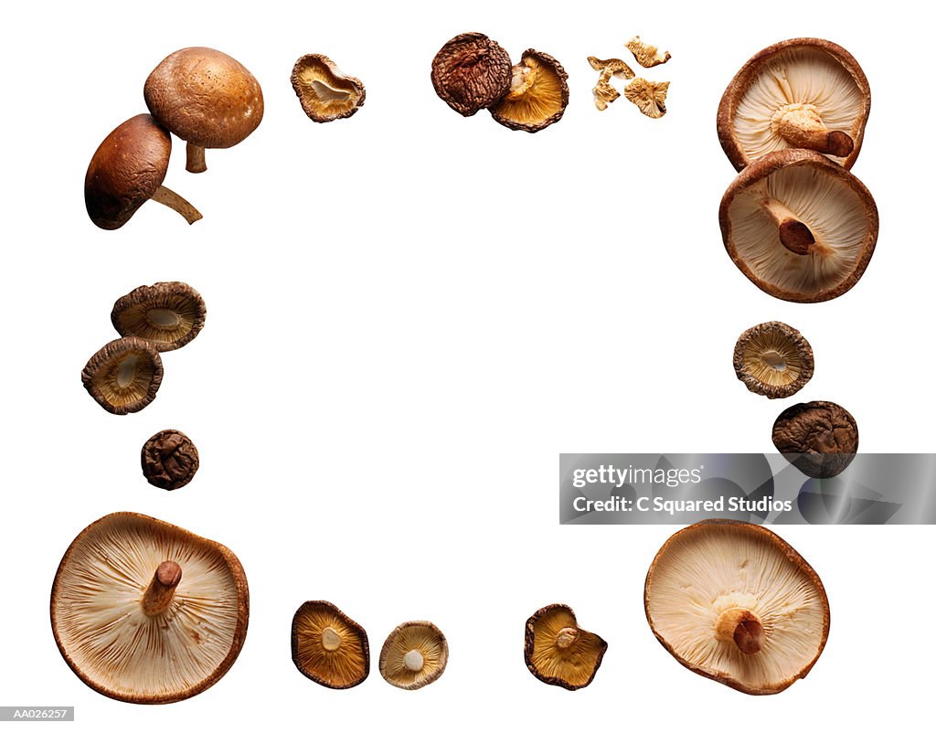 Arrangement of Dried and Fresh Shitake Mushrooms