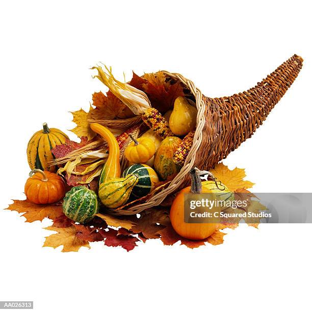 cornucopia with squash and corn - thanksgiving cornucopia stock pictures, royalty-free photos & images