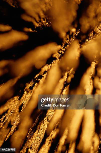 iron filings on a magnet - iron filing stock pictures, royalty-free photos & images
