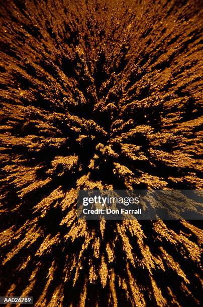 iron filings on a magnet - iron filings stock pictures, royalty-free photos & images