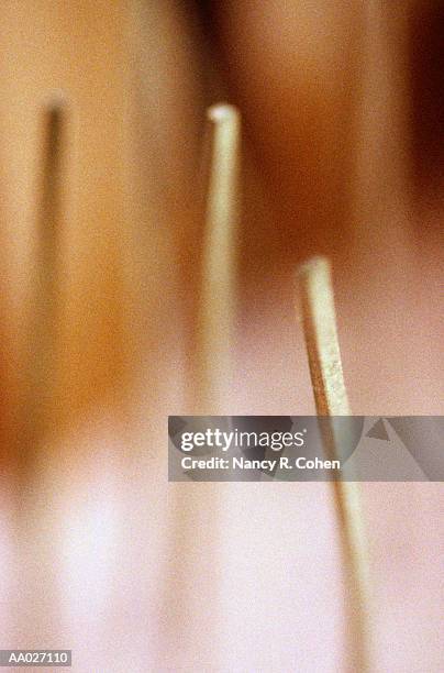 close-up of flower stems - sepal stock pictures, royalty-free photos & images