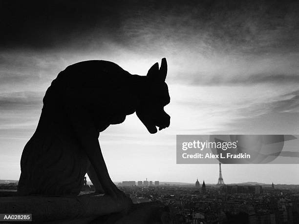 france, ile-de-france, paris, gargoyle on notre dame, silhouette (b&w) - ile stock pictures, royalty-free photos & images