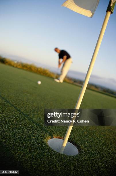 man playing golf - nancy green stockfoto's en -beelden