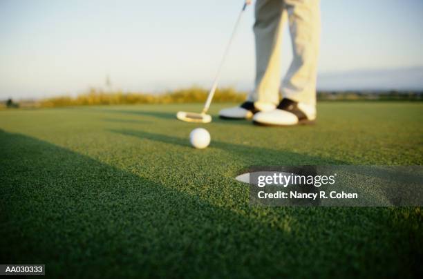 person playing golf - nancy green stockfoto's en -beelden