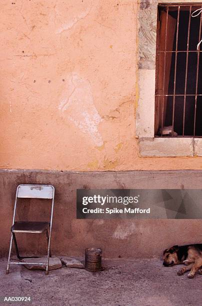 hot day, guanajuato, mexico - guanajuato state stockfoto's en -beelden