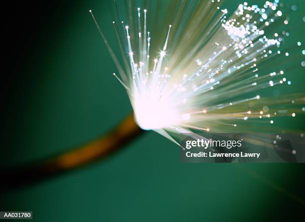 fibre optic cable - fascio foto e immagini stock