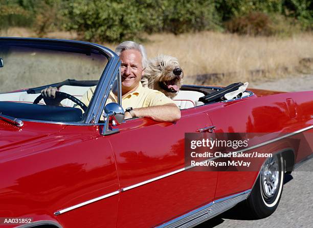 middle aged man in red convertible with dog - irish wolfhound foto e immagini stock